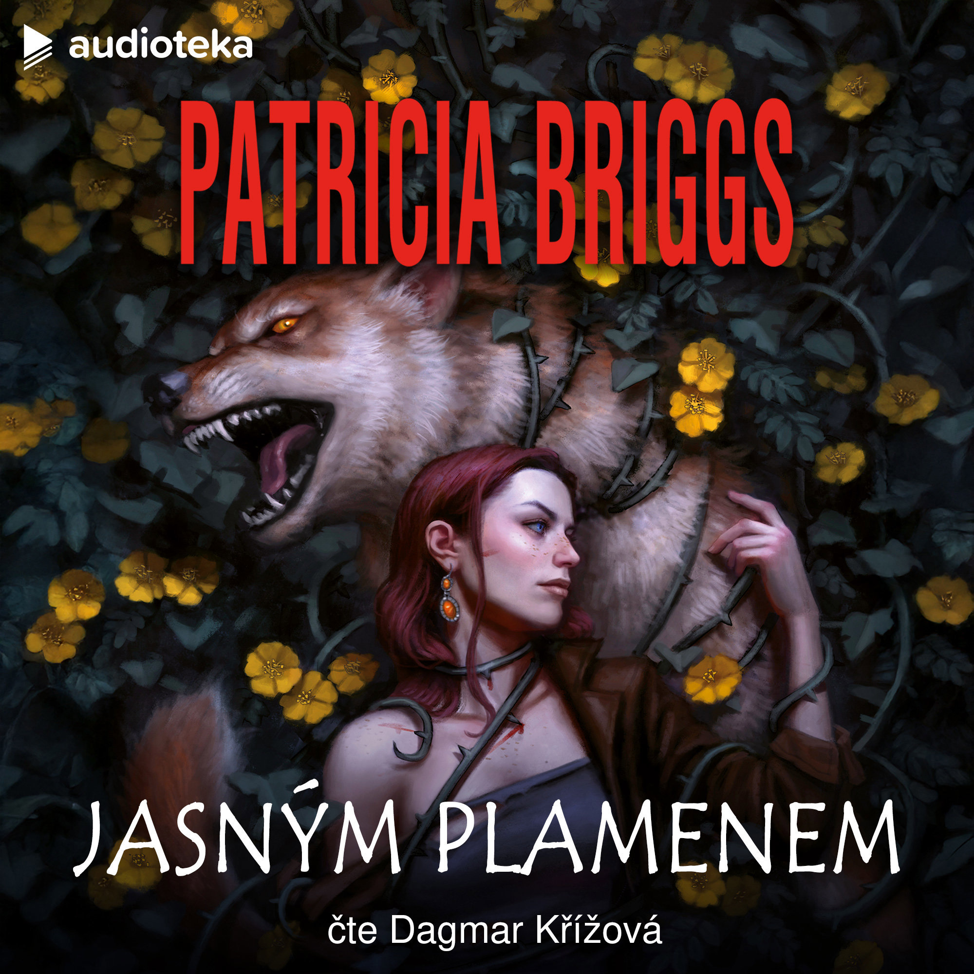 Jasným plamenem