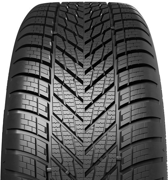 Dunlop Winter 205/55 R16 91H