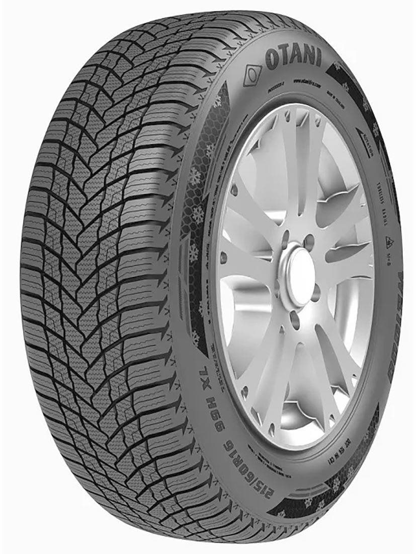 Otani WE1000 195/65 R15 91T