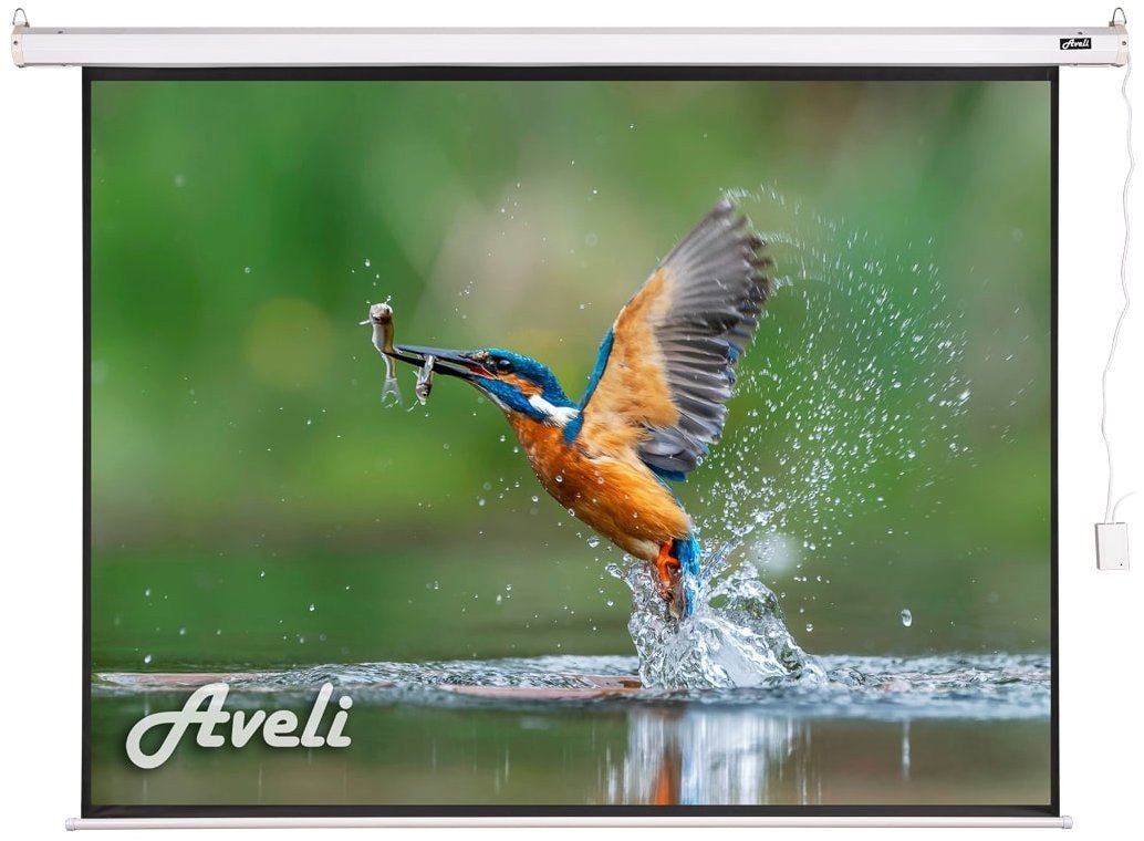 AVELI, roleta s elektrickým motorom, 98", (4:3)