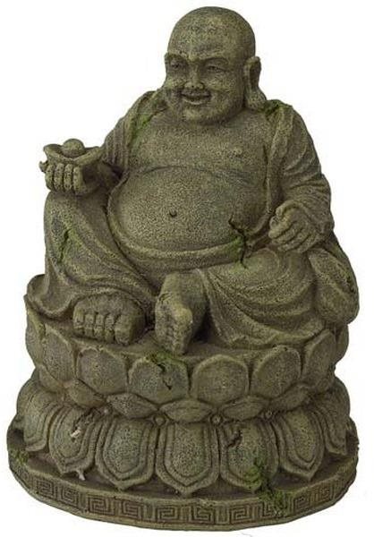 Ebi Aqua Della Buddha M 9,5 × 9,5 × 12,5 cm