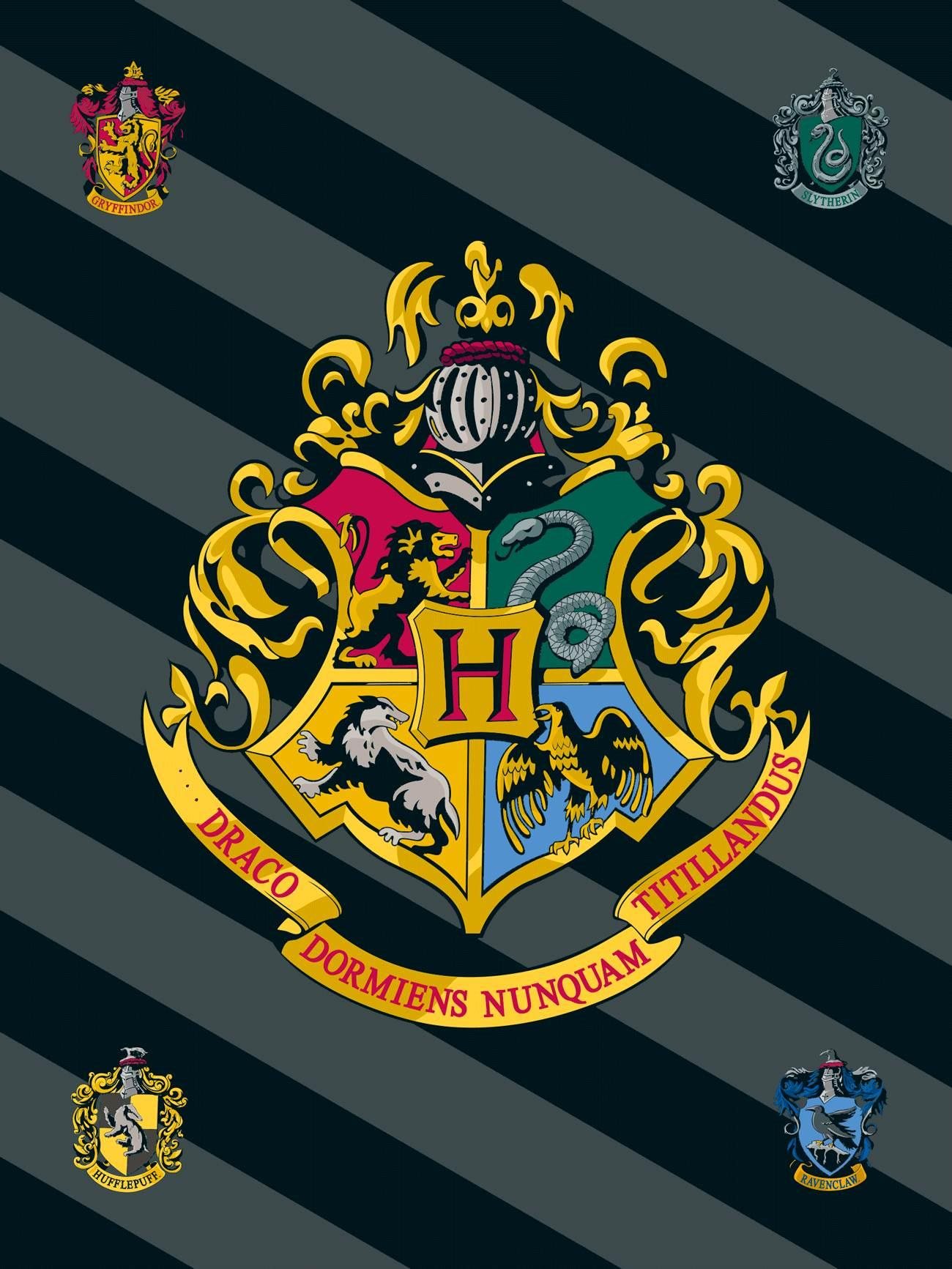 Jerry Fabrics Detská fleecová deka Harry Potter 067 100×150 cm