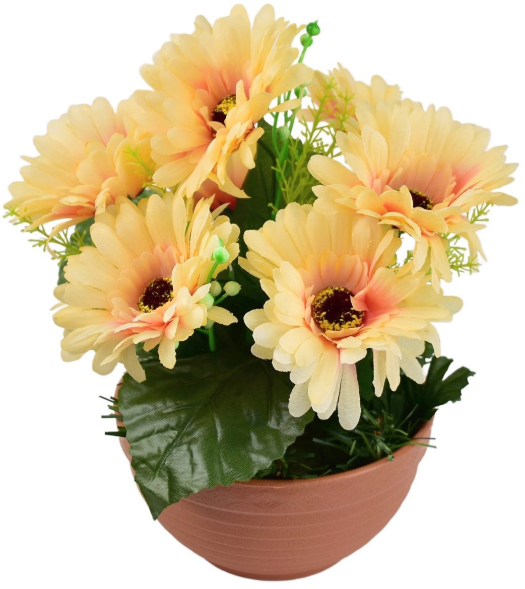 DOMMIO Gerbery svetlo oranžové 7 kvetov v terakotovej miske, priemer 22/24 cm