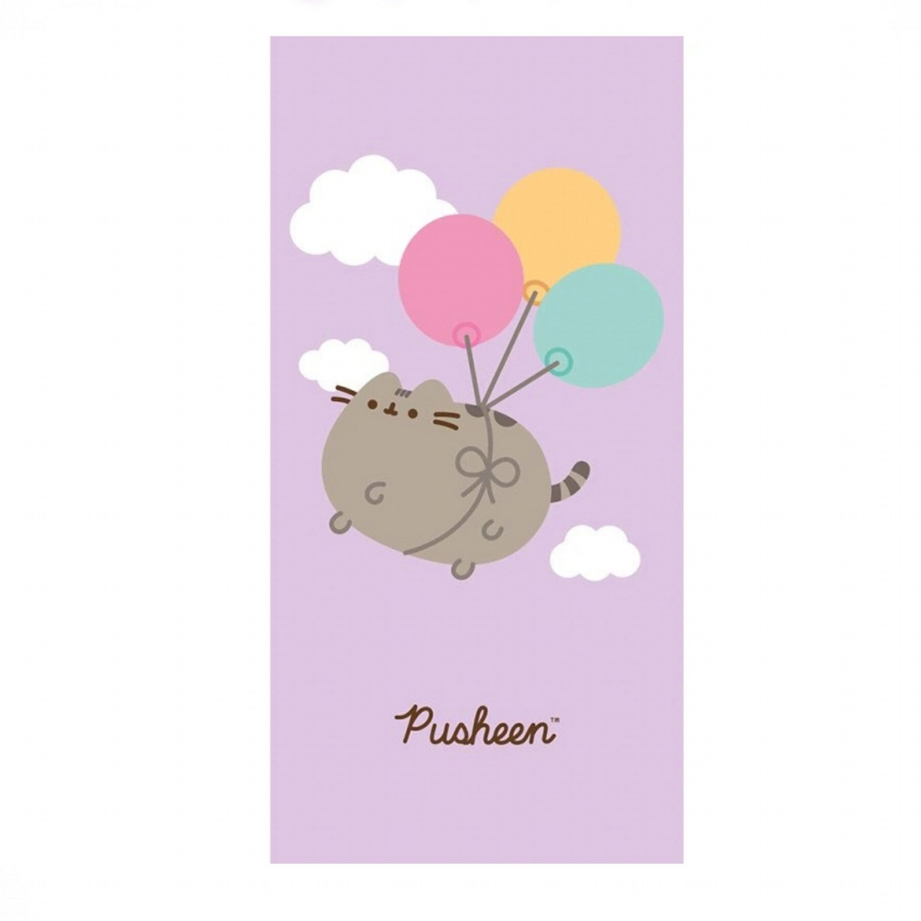 Carbotex Mačička Pusheen – kurz lietania 70 × 140 cm