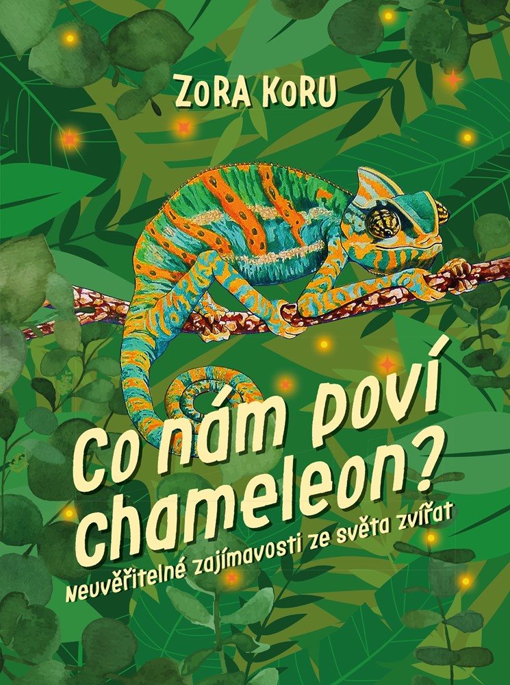 Co nám poví chameleon