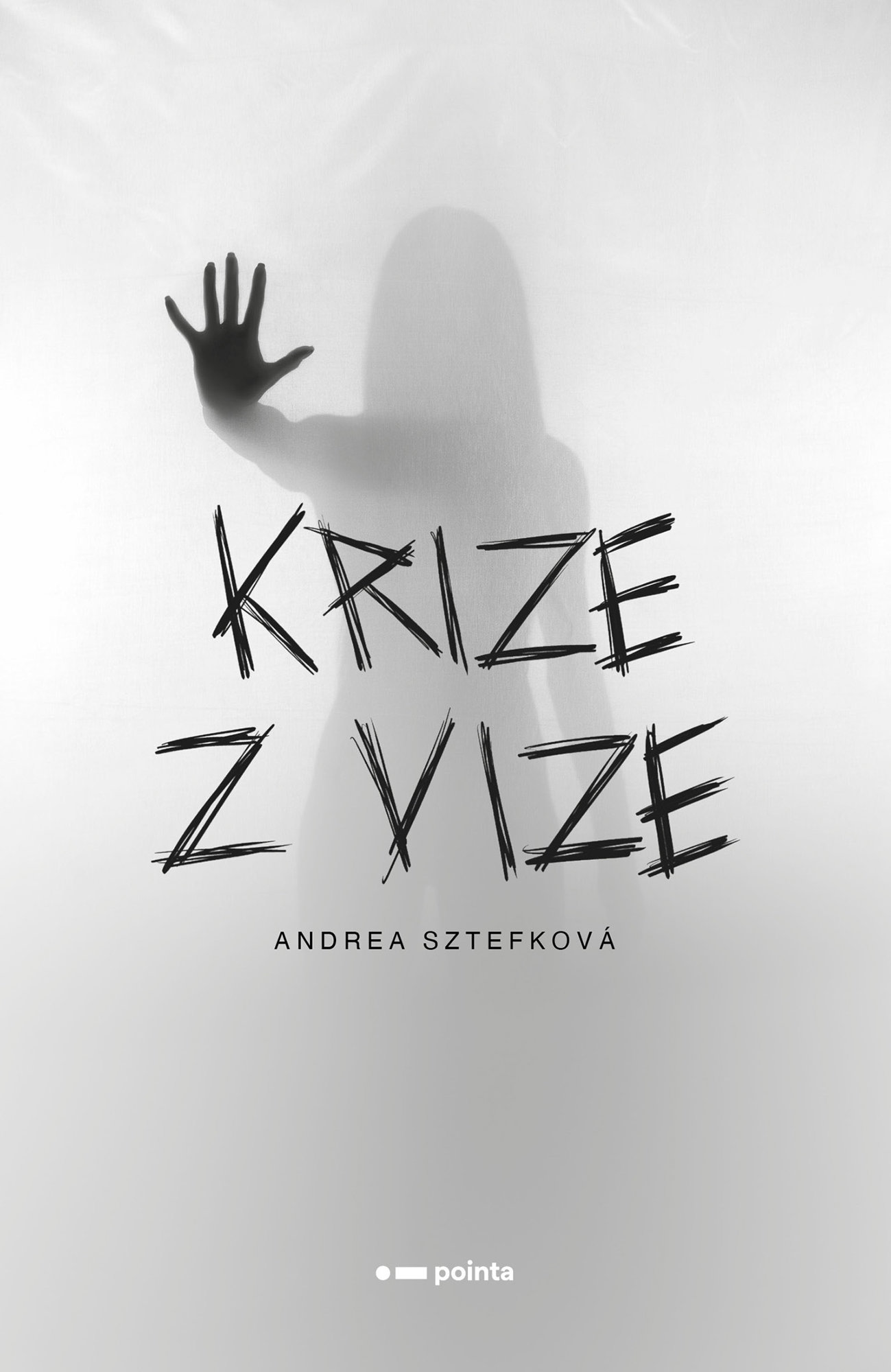 Krize z vize