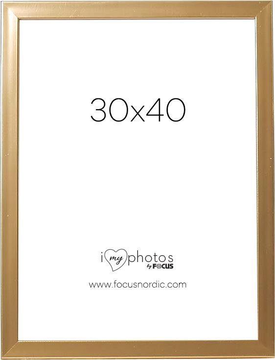 Focus Pop Gold 30 × 40