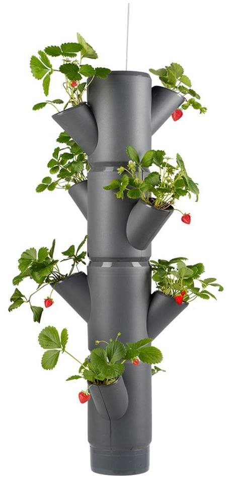 Gusta Garden SISSI STRAWBERRY závesný samozavlažovací kvetináč 4 poschodia, antracit