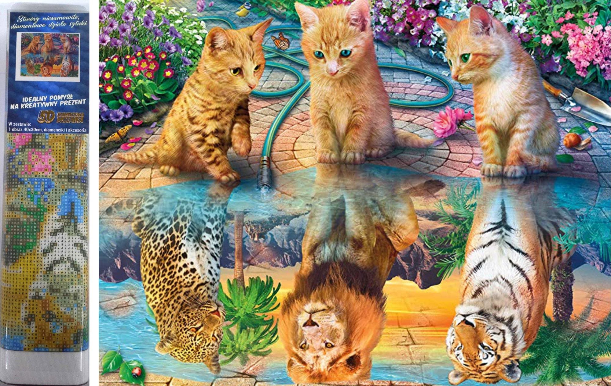 Norimpex Mačacie sny 30 × 40 cm