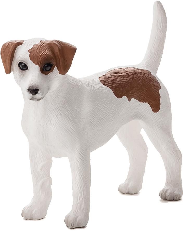 Mojo Fun pes Jack Russell Teriér