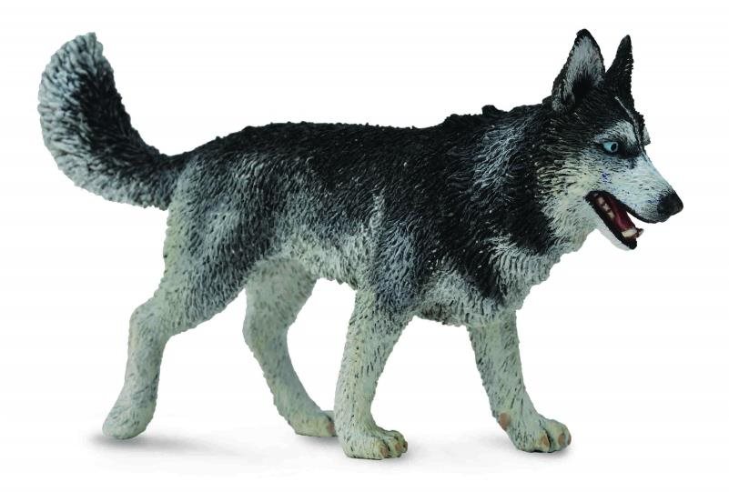 Collecta pes Sibírsky husky