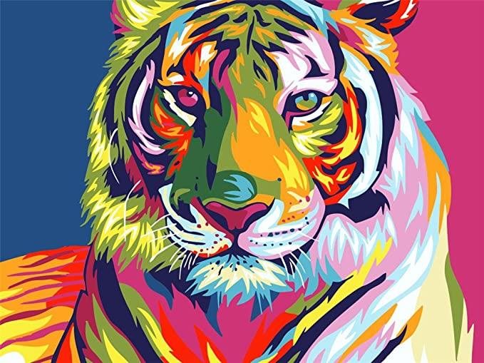 Gaira Tiger D0105
