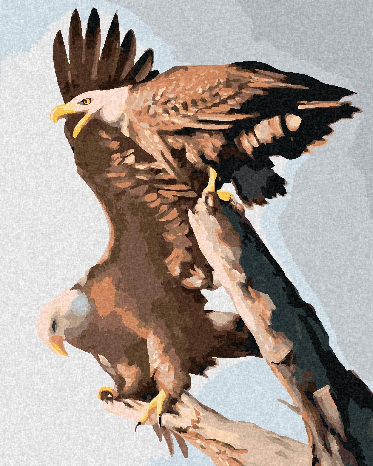 Zuty – Maľovanie Podľa Čísel – Orlí Pár (D. Rusty Rust), 40 × 50 cm, Plátno + Rám