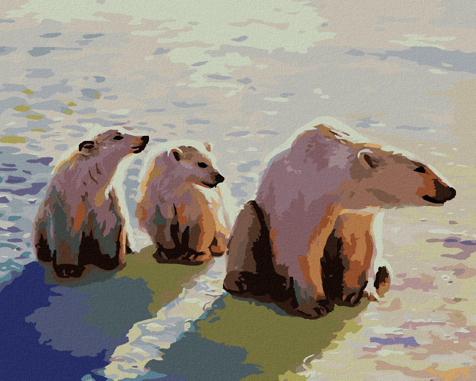 Zuty – Maľovanie Podľa Čísel – Sediaci Ľadový Medveď (D. Rusty Rust), 40 × 50 cm, Plátno + Rám