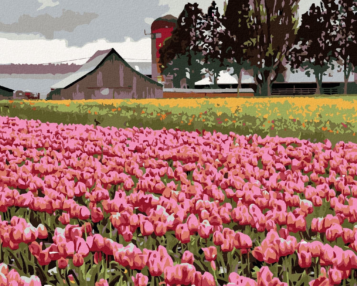 Zuty – Maľovanie Podľa Čísel – Ružové Tulipány Na Lúke (Dennis Frates), 80 × 100 cm, Plátno