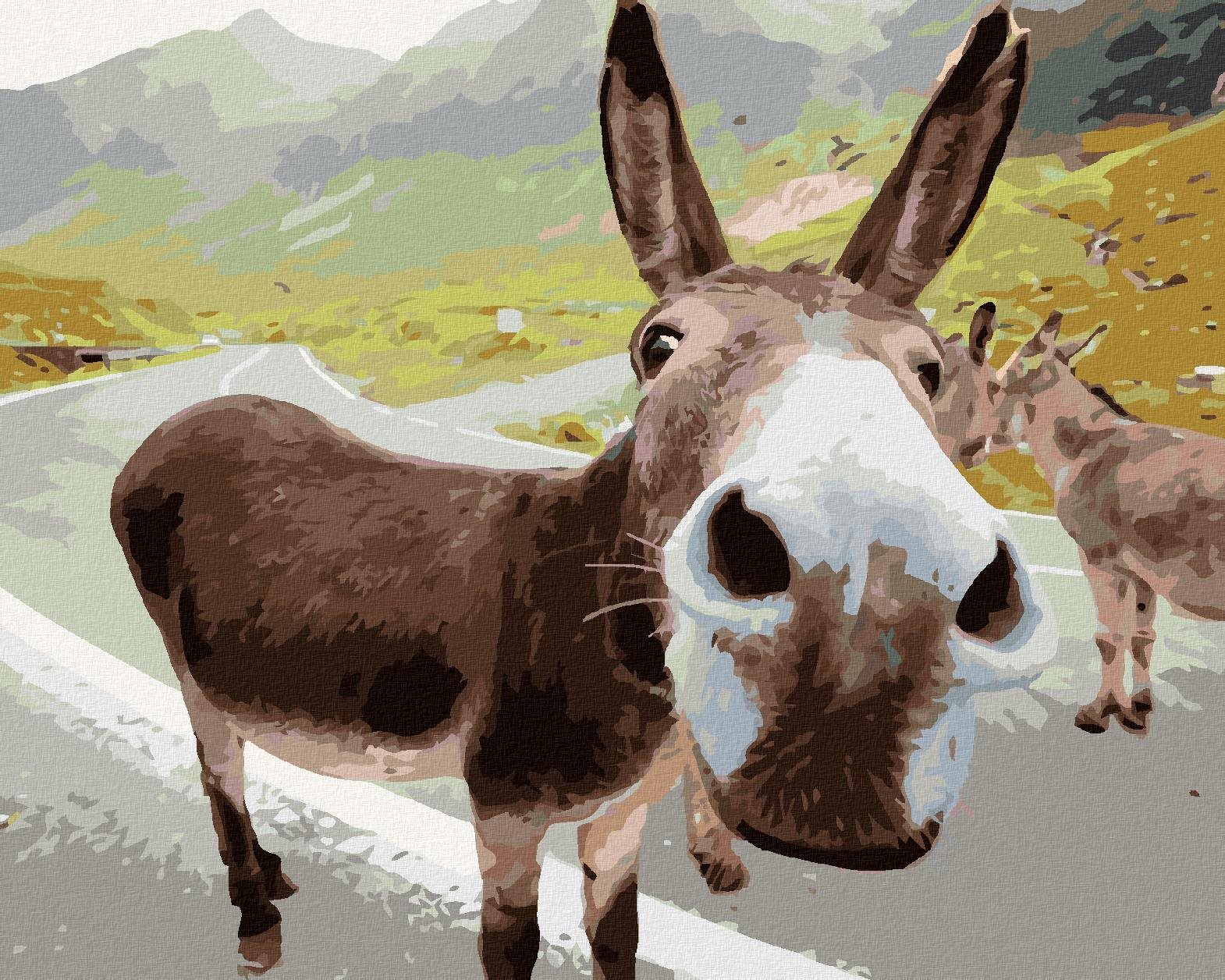 Zuty – Maľovanie Podľa Čísel – Osol Na Ceste, 40 × 50 cm, Plátno