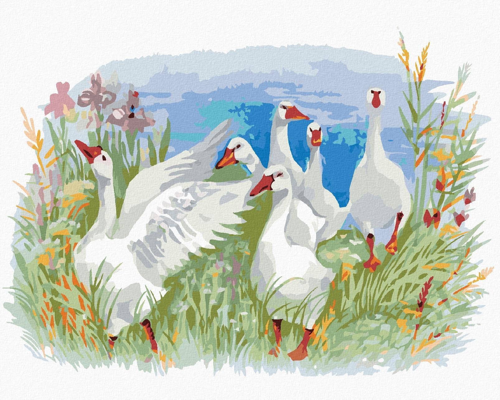 Zuty – Maľovanie Podľa Čísel – Husi Na Farme, 40 × 50 cm, Plátno + Rám