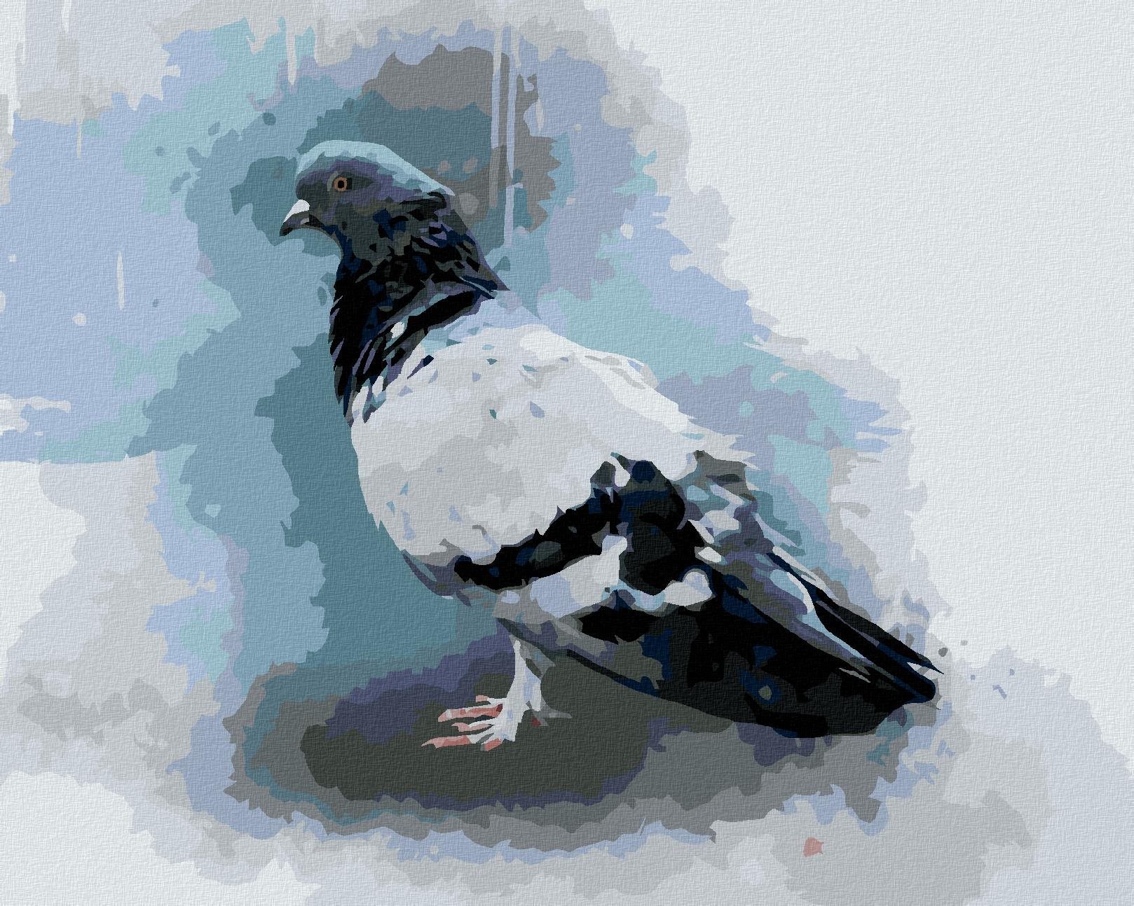 Zuty – Maľovanie Podľa Čísel – Holub, 40 × 50 cm, Plátno