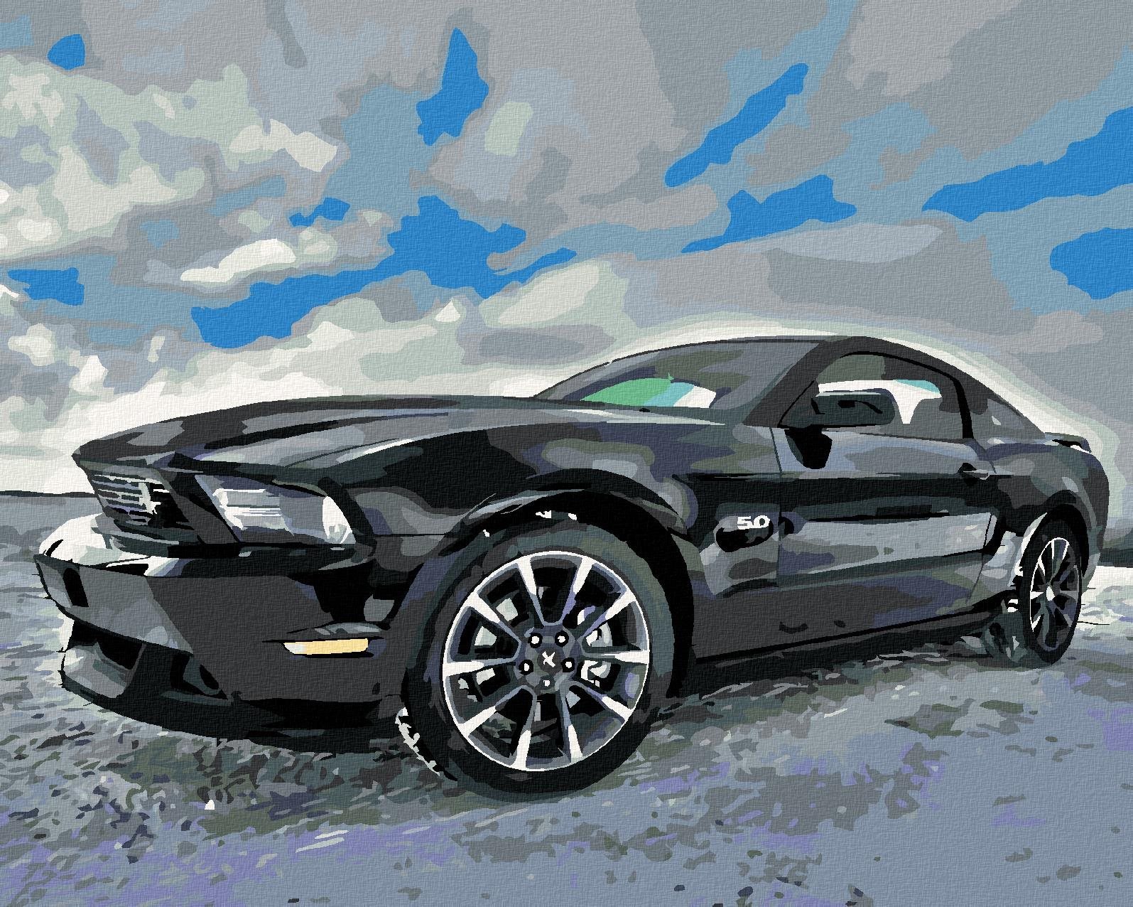 Zuty – Maľovanie Podľa Čísel – Športové Čierne Auto, 40 × 50 cm, Plátno + Rám