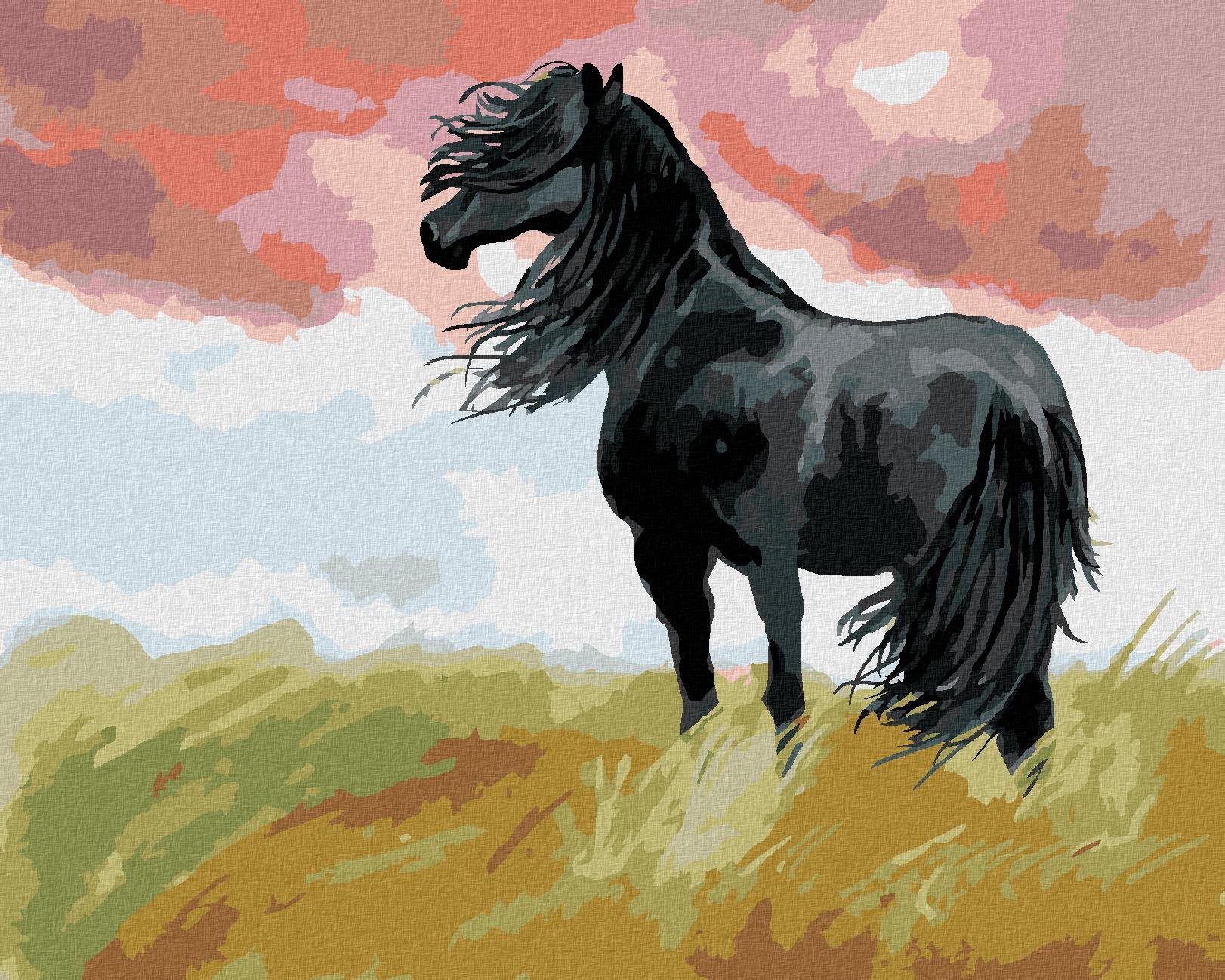 Zuty – Maľovanie Podľa Čísel – Čierny Kôň Na Lúke, 40 × 50 cm, Plátno + Rám