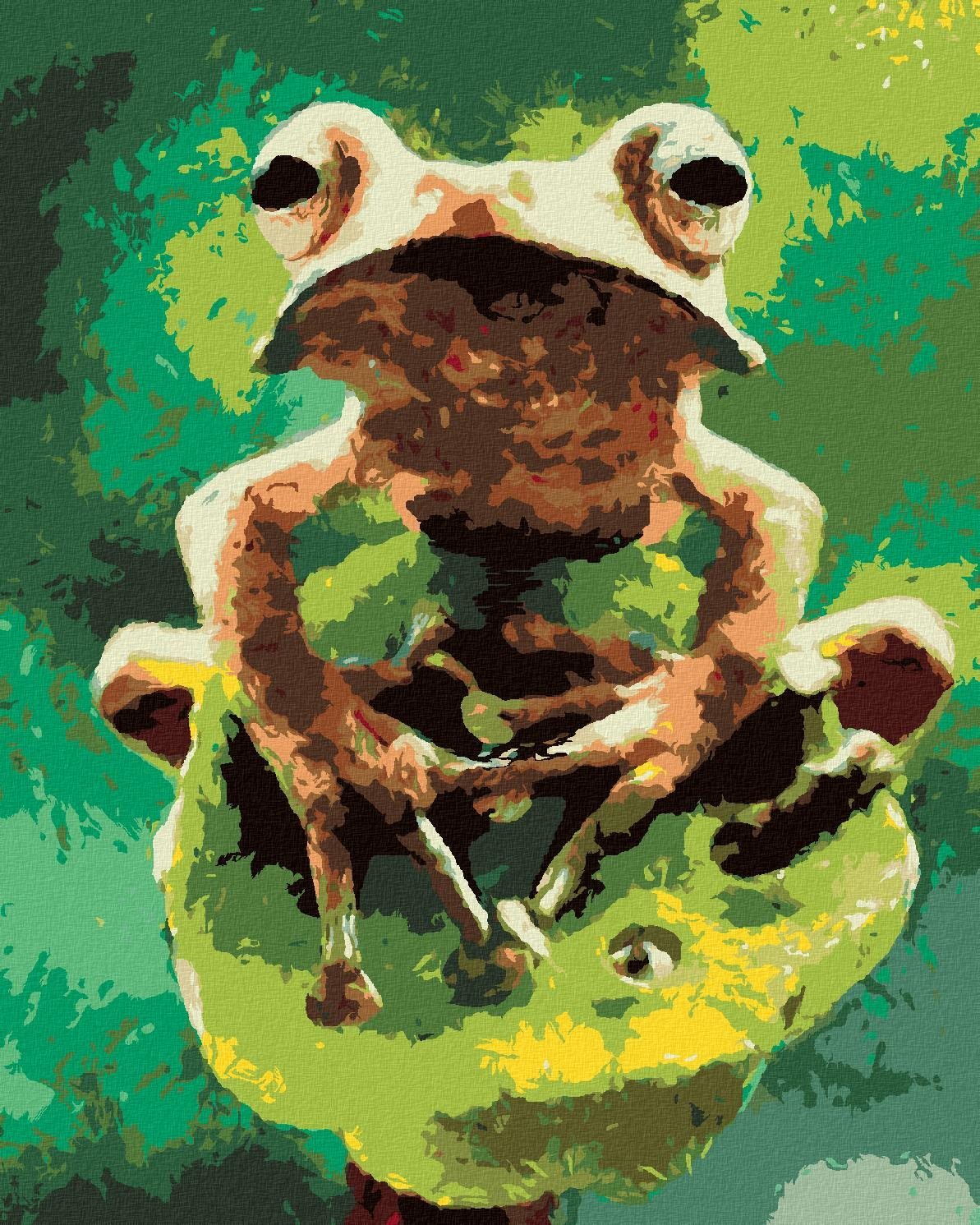 Zuty – Maľovanie Podľa Čísel – Žaba V Lese, 40 × 50 cm, Plátno + Rám