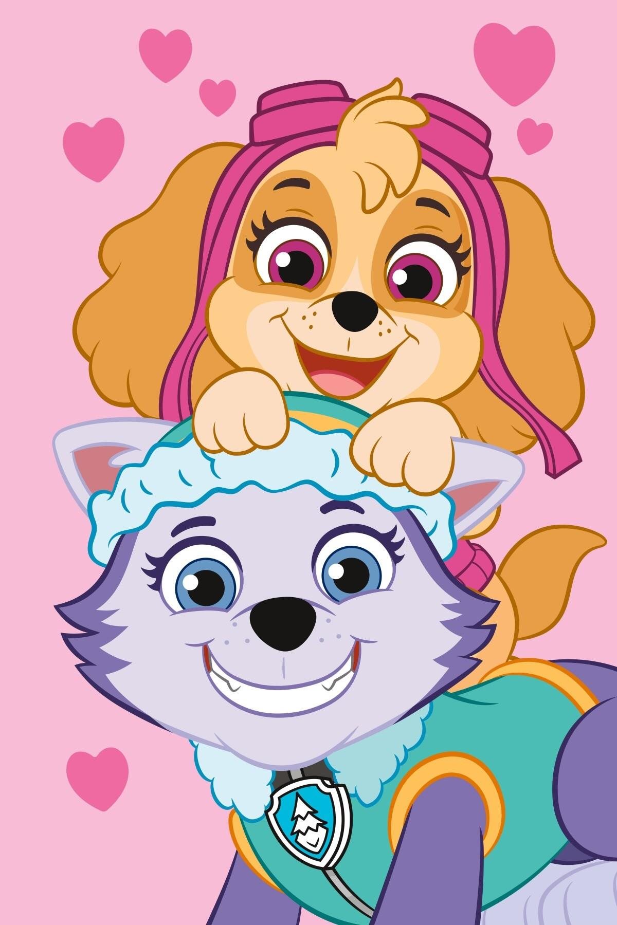 Jerry Fabrics Detská fleecová deka Paw Patrol PP518 100 × 150 cm
