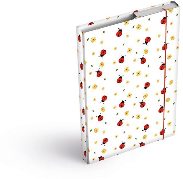 MFP box A5 Lienky