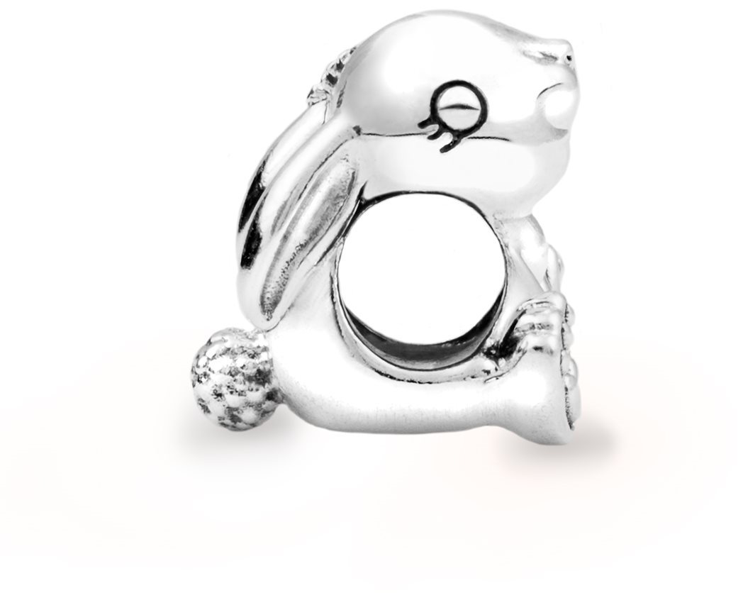PANDORA Friends 798763C00