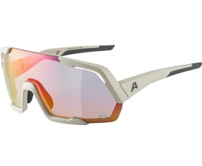 Alpina Rocket QV cool-grey matt