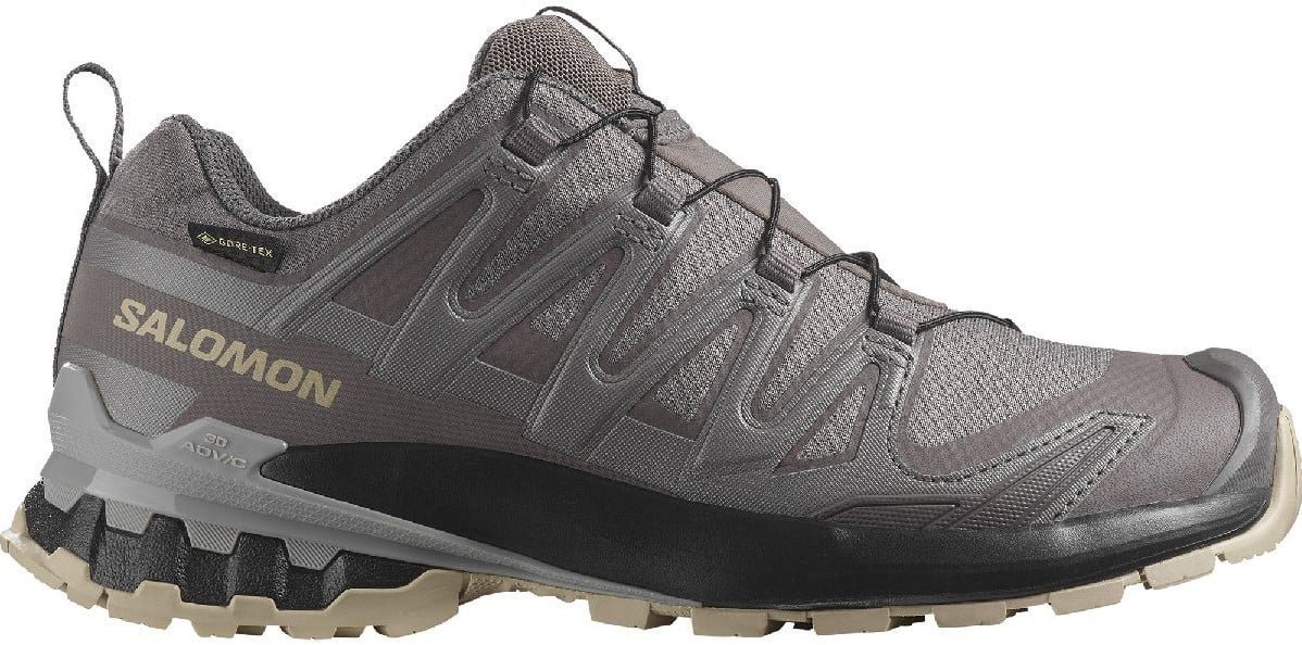 Salomon XA Pro 3D V9 GTX W Plum Kitten/Black/Gull, EU 41 1/3/265 mm
