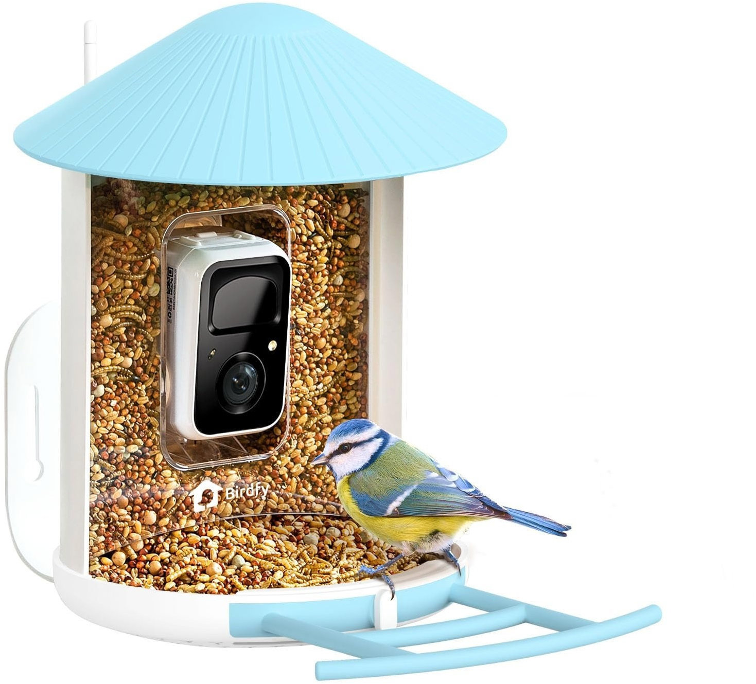 Birdfy Feeder (AI doživotne zadarmo)