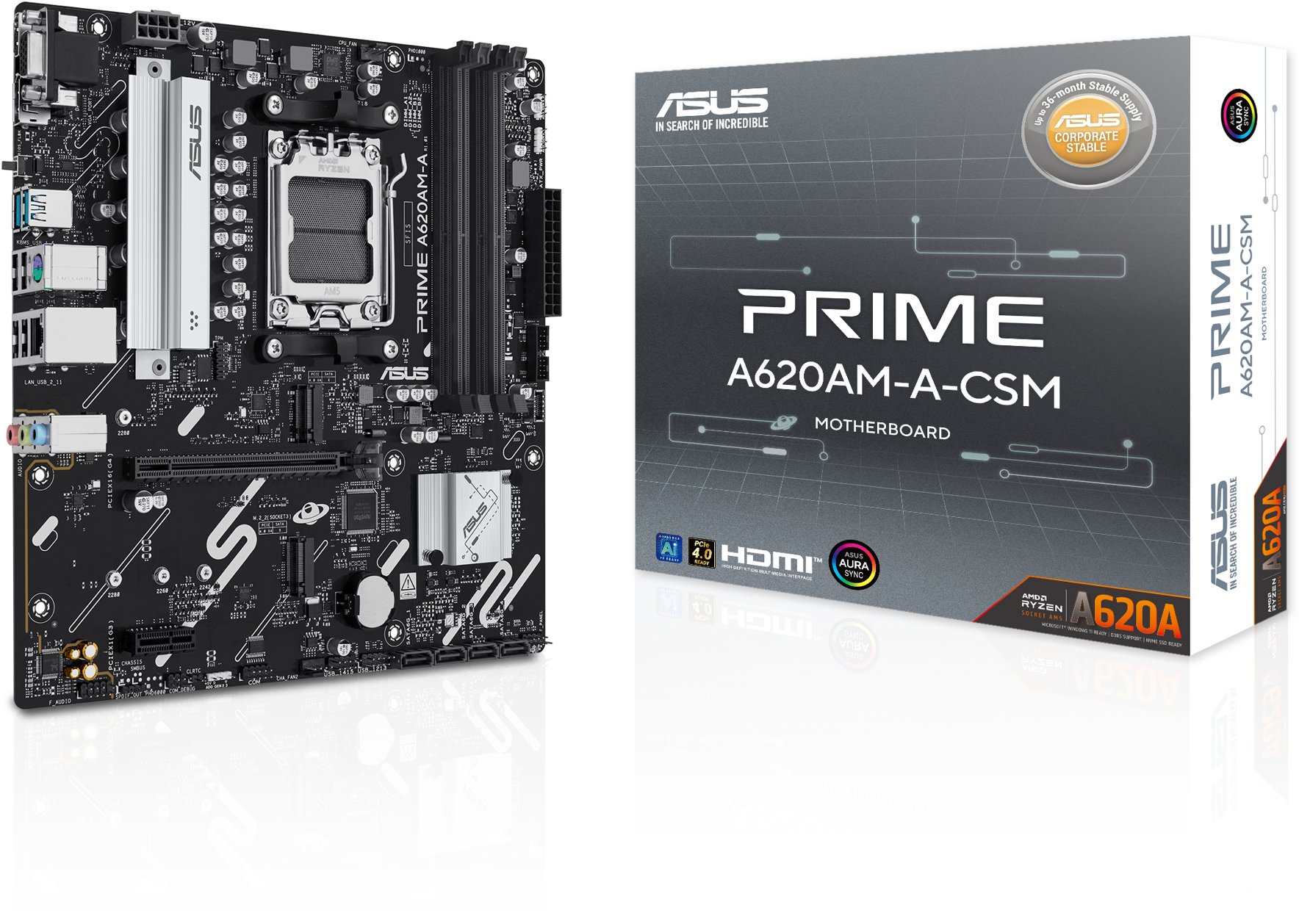 ASUS PRIME A620AM-A-CSM
