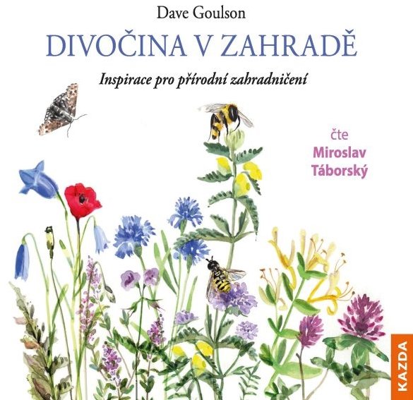 Divočina v zahradě