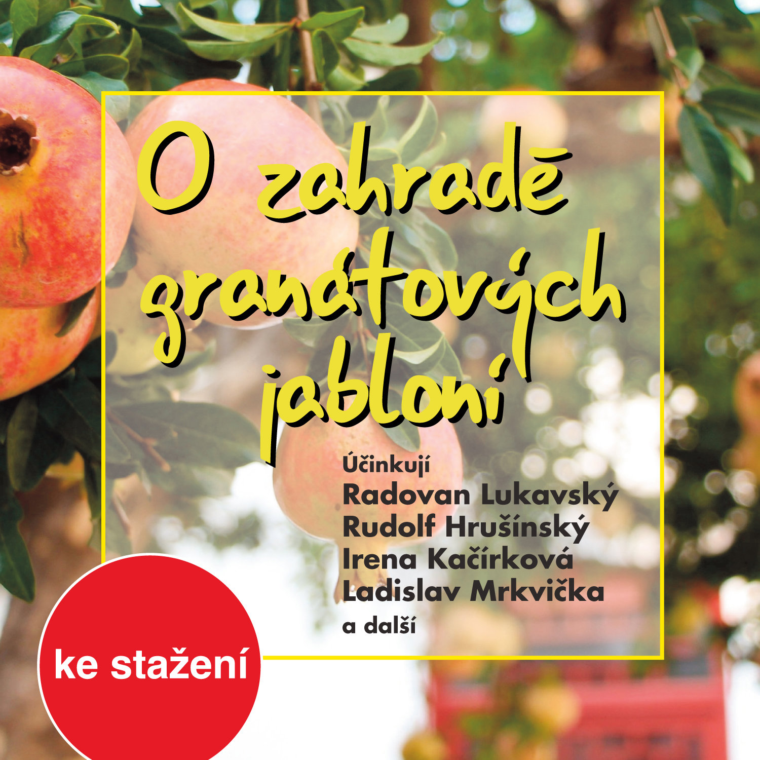 O zahradě granátových jabloní