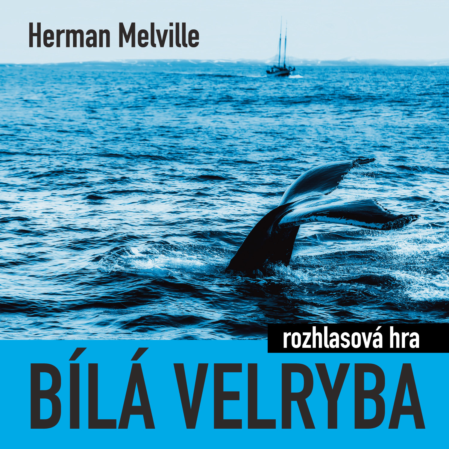 Herman Melville: Bílá velryba (rozhlasová hra)