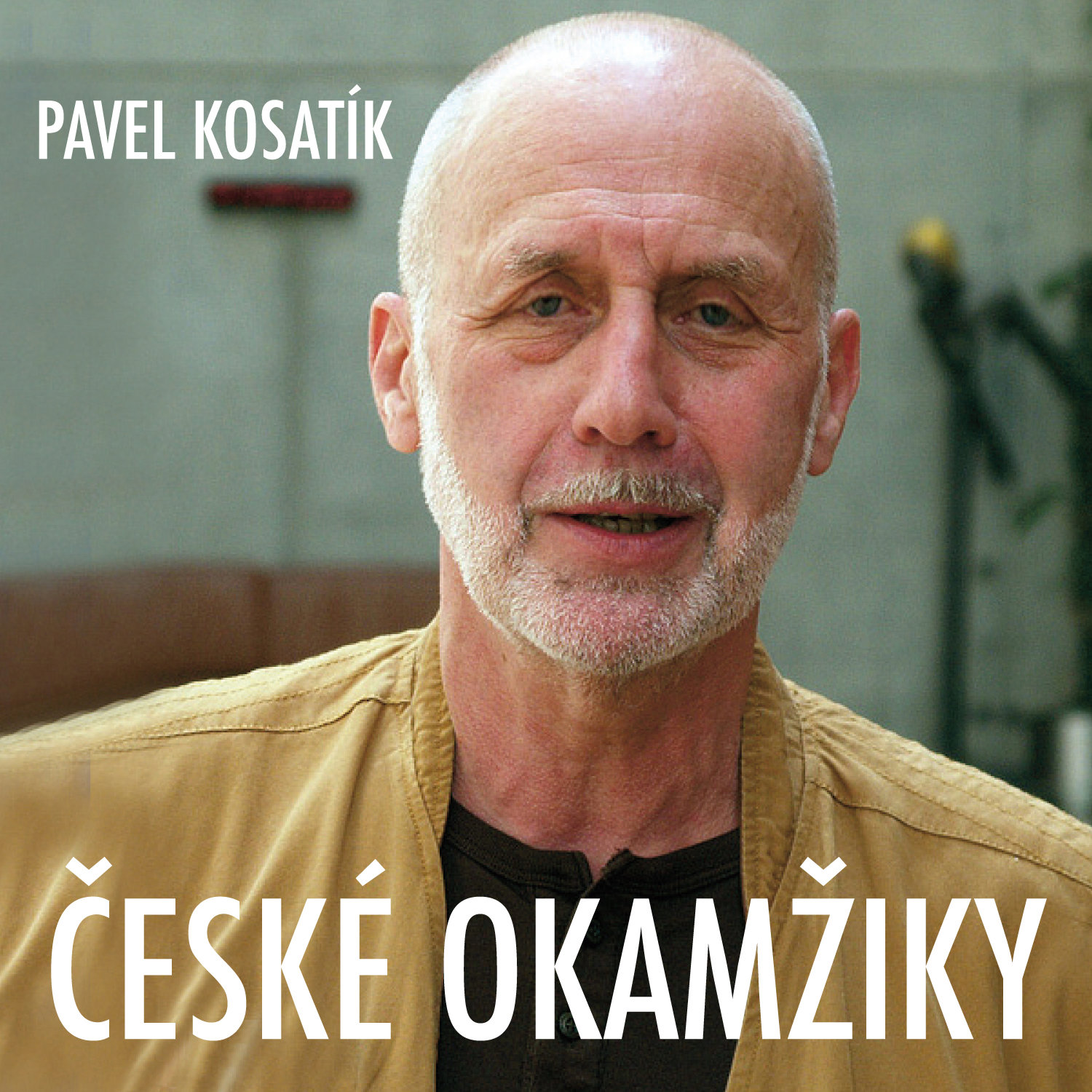 Pavel Kosatík: České okamžiky