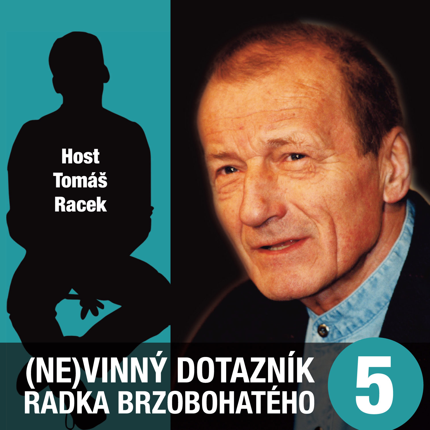 (Ne)vinný dotazník Radka Brzobohatého 5.
