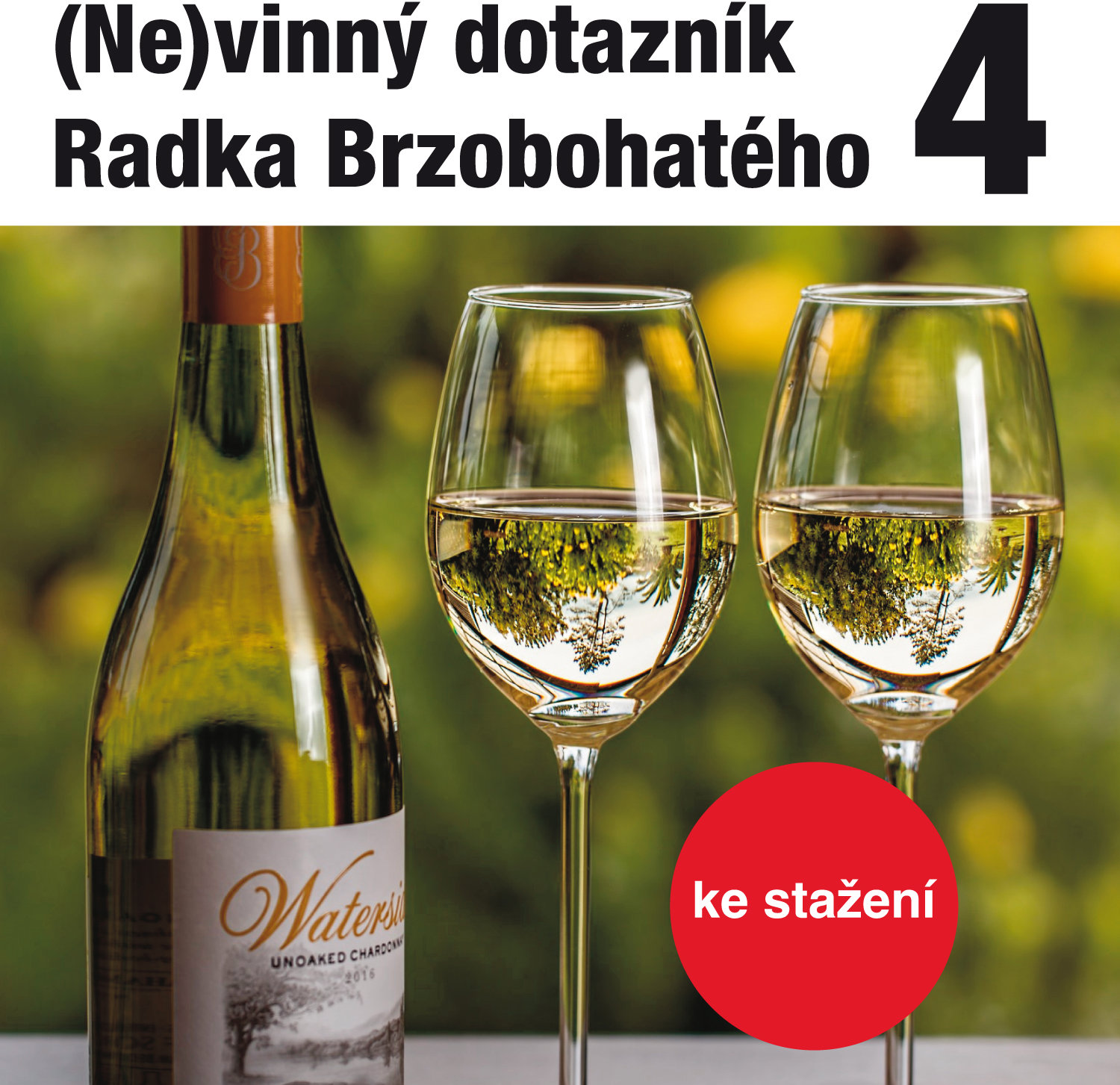 (Ne)vinný dotazník Radka Brzobohatého 4.