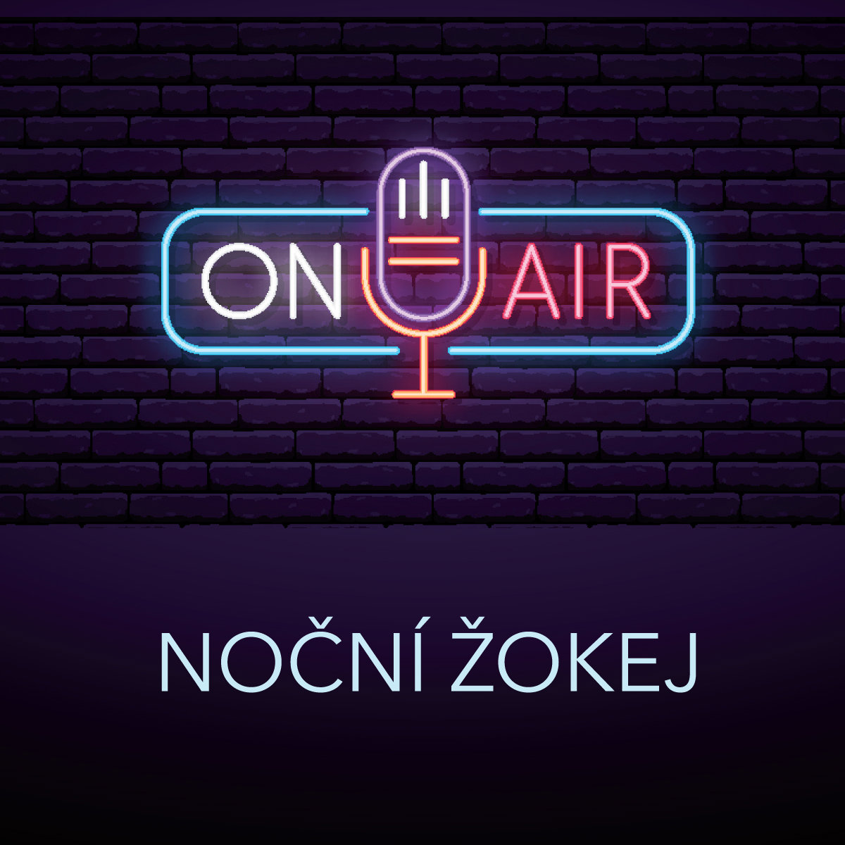 Antonín Přidal: Noční žokej