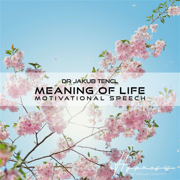 Meaning of Life