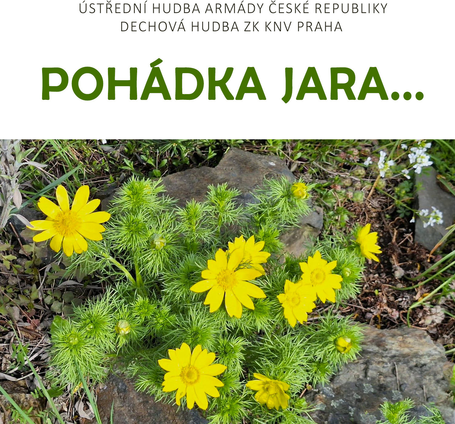 Pohádka jara...