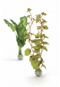 biOrb Silk plant súprava M zelená