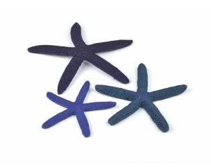 biOrb Starfish súprava 3 modrá