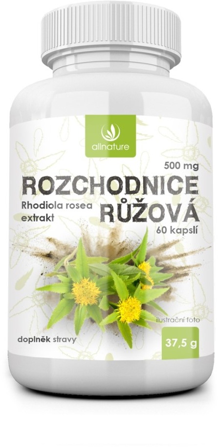 Allnature Rozchodnica ružová – Rhodiola Rosea 500 mg 60 kapsúl