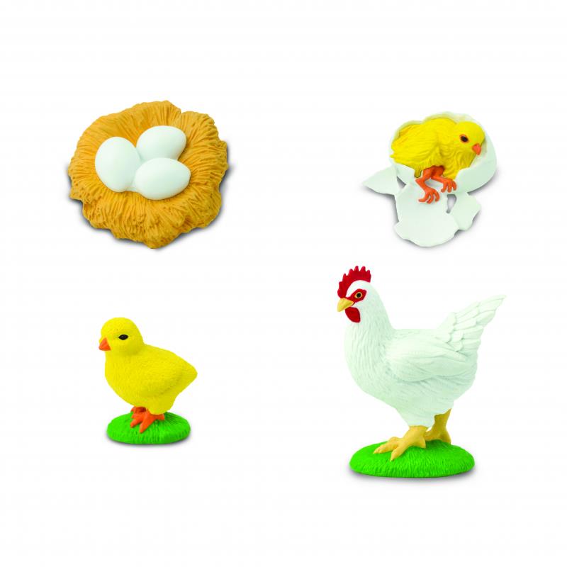 Animal Life Životný cyklus Sliepky