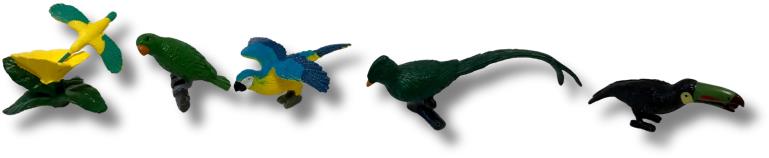 Animal Life Exotické vtáctvo 1