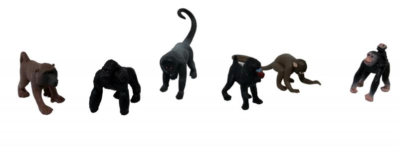 Animal Life Primáty a opice 2