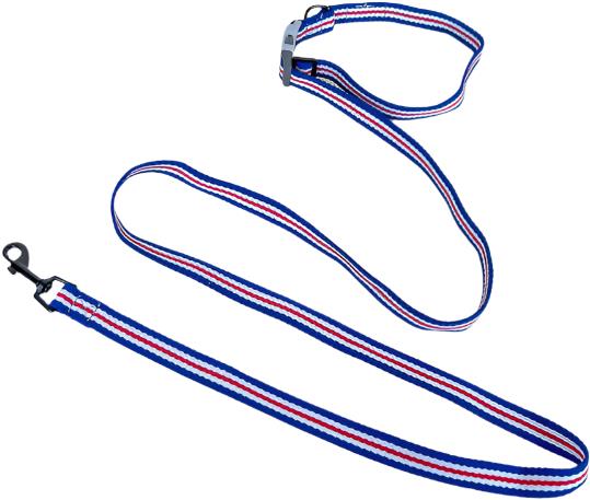 ANNAM Vodidlo 2,5 × 180 cm, dĺžka sa dá ľubovoľne nastaviť, modro-červené