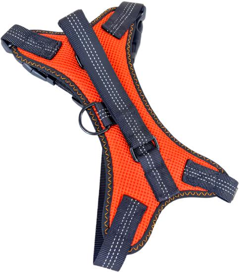 ANNAM Reflexný postroj m, oranžový