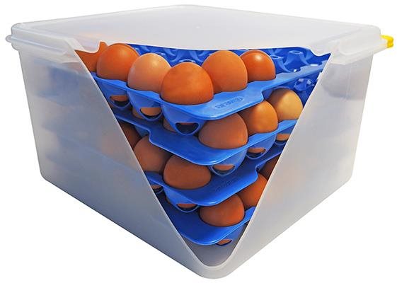 ARAVEN Box na vajcia, GN 2/3 + 4 modré podnosy